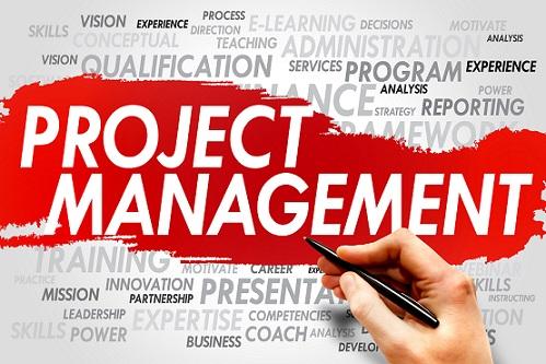 Project Management Plan versus Project Document